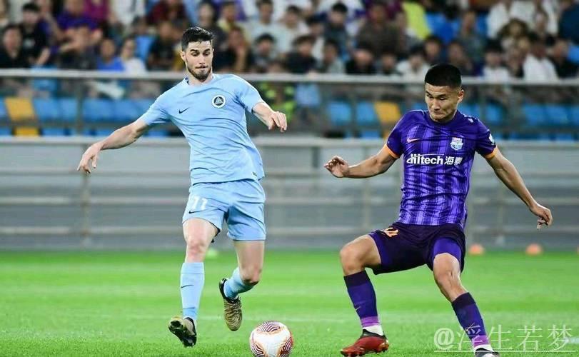 深圳新鹏城凭杜加利奇头球击败天津津门虎